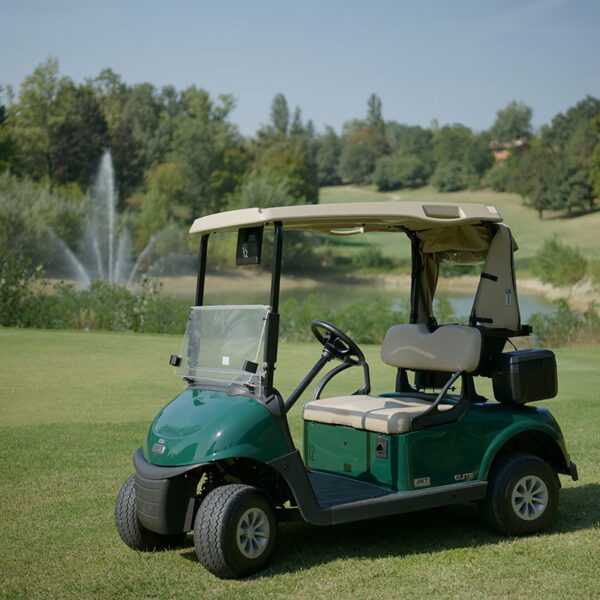 cart1